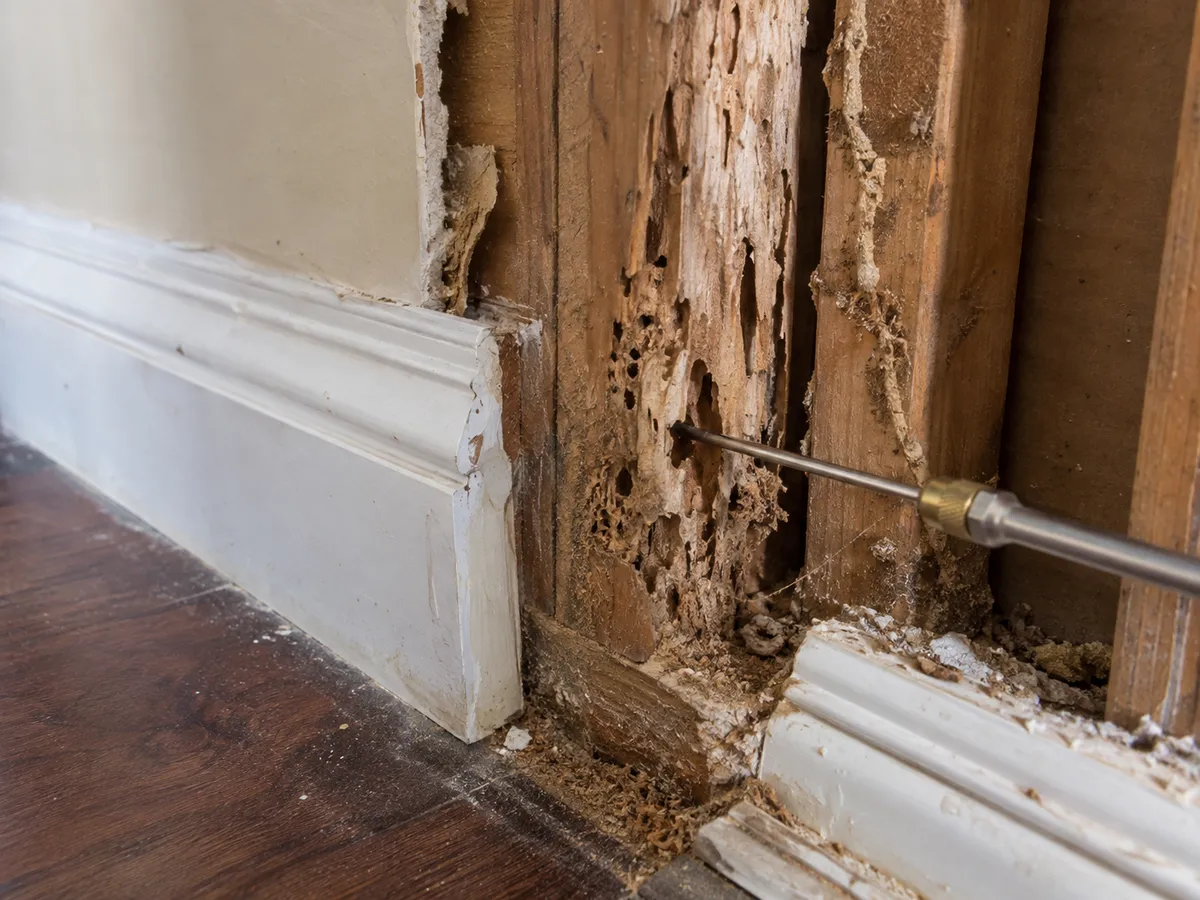 Soil along a slab foundation being treated for subterranean termites