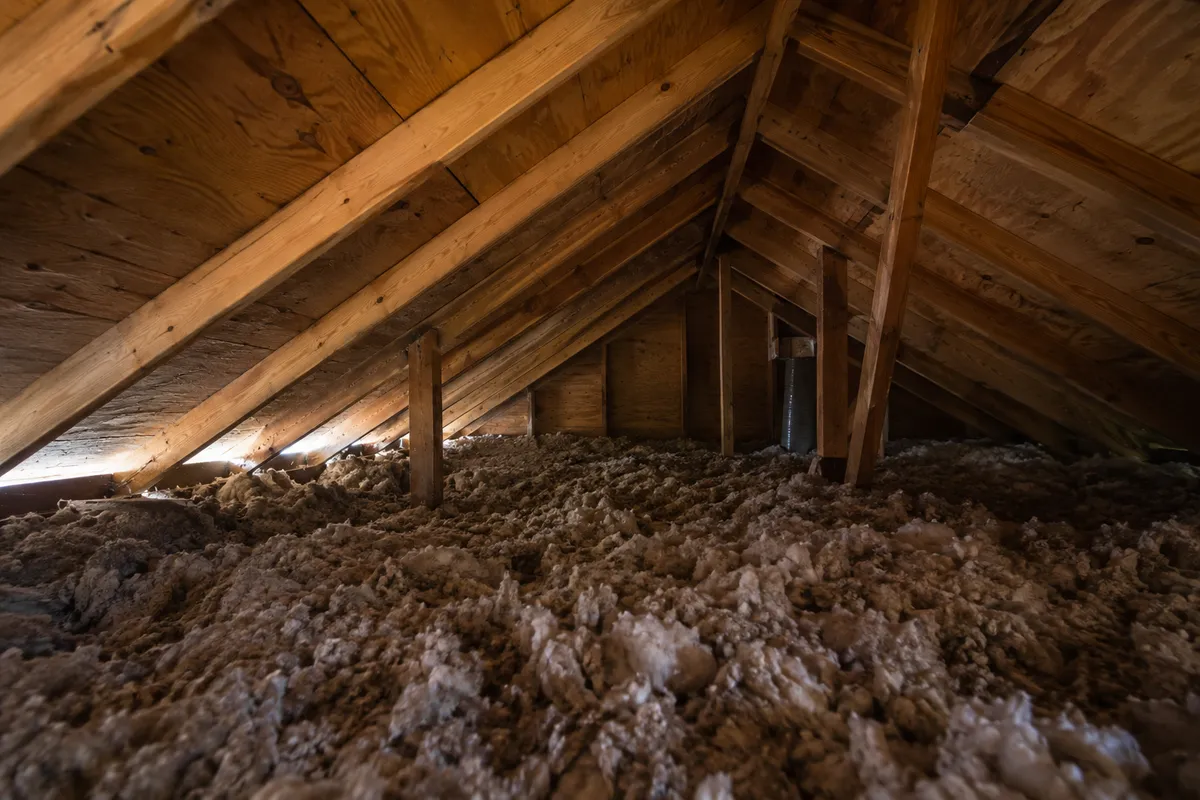 Gap at a roofline soffit where rodents can enter an attic