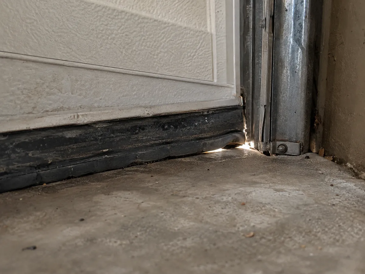 Garage storage shelves and boxes where spiders often hide